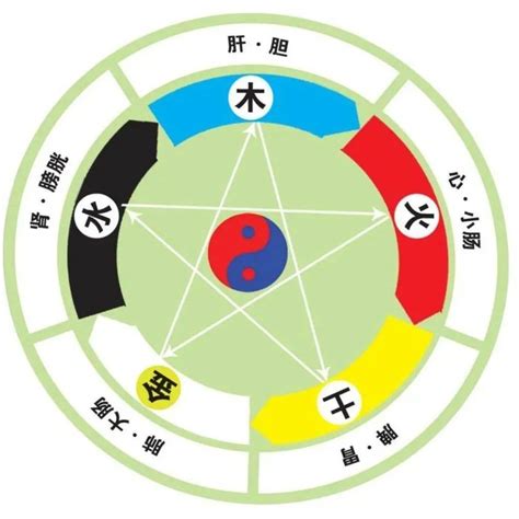 思的五行|思的五行：你不知道的